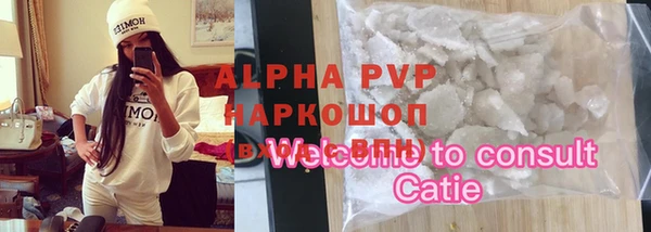 PSILOCYBIN Гусиноозёрск