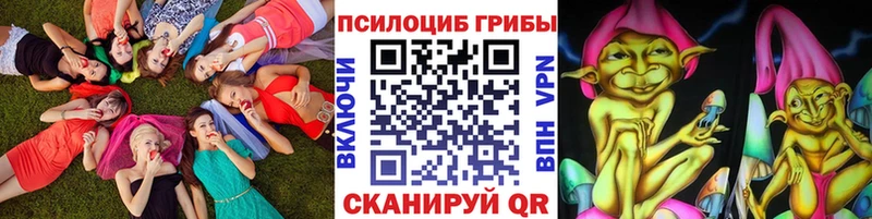 Галлюциногенные грибы мицелий  Купить закладки  Шимановск 